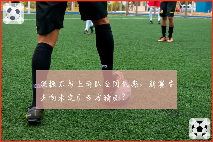 樊振东与上海队合同到期，新赛季去向未定引多方猜测？